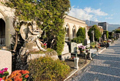 Immagine con cimitero, fiori, tombe, statua, lapidi, alberi, verde, piante, croci, tomba, nuvole, cielo, vasi, statue, monumento, viale