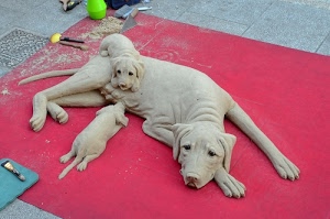 cuccioli, tappeto, rosso, cani, cane, zampe, occhi, orecchie, sabbia, mamma, animali, code, pennelli, pavimento, attrezzi, artista, allatta, scultura, beige, rosa