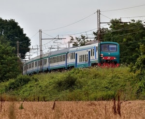 treno, verde, fili, alberi, ferrovia, cielo, vagoni, pali, piante, finestrini, rosso, binari, campo, grano, bianco, locomotiva