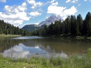alberi, lago, montagna, acqua, nuvole, verde, riflessi, bosco, riflesso