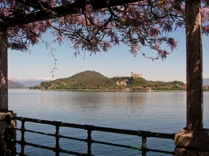 lago, ringhiera, acqua, isola, fiori, glicine, piante