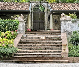 leoni, fiori, cancello, scala, piante, statue, scalini, siepe, verde, gatto, arco, scalinata, scale, colonne, vasi, animale, tetti, giardino, tegole, gradini, vaso, due, cane, villa