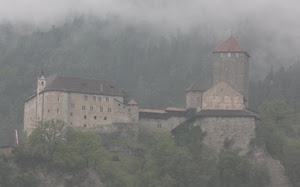 castello, nebbia, alberi, torre, montagna, finestre, torri