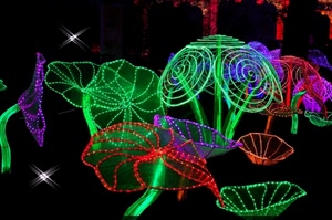 verde, rosso, luci, colori, viola, nero, fiori, spirale, spirali, astratto, multicolore