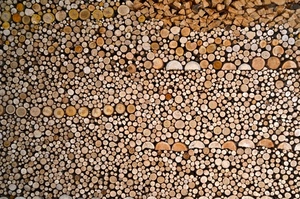 catasta, tronchi, legno, legna, cerchi, legname, pattern, rami, rotondi, cerchio, marrone, astratto, tagliati