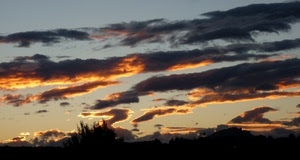 tramonto, nuvole, cielo, nero, alberi, profilo, luce