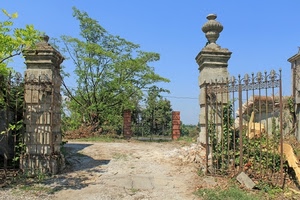 cancello, alberi, colonne, ferro, pilastri, aperto, verde, strada, rudere, cancelli, cielo, due, piante