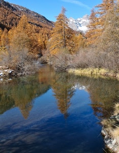 alberi, acqua, lago, riflesso, montagna, fiume, montagne, autunno