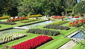 fiori, verde, aiuole, giardino, rosso, alberi, prato, piante, erba