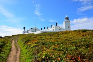 faro, sentiero, strada, cielo, erba, bianco, prato, verde, fiori, comignoli, nuvole, case
