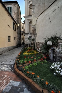 fiori, aiuola, vicolo, verde, erba, finestre, strada, aiuole, giallo, bianco, lampione, palazzo, mattoni, fontana, arancione