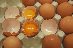 uova, gusci, tuorli, tuorlo, guscio, contenitore, rotti, intere, rotte, cartone, giallo